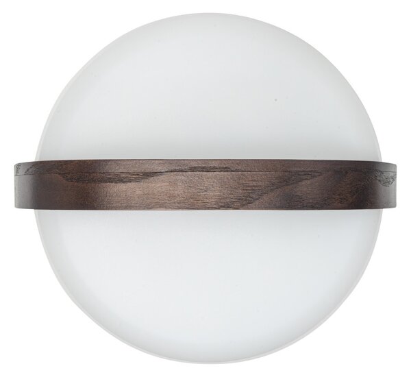 Lite-up Play JBL Earth föld barna lámpa, hangszóró