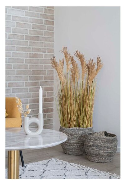 Fű műnövény (magasság 110 cm) Sorghum – House Nordic