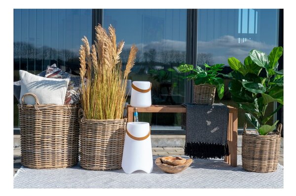 Fű műnövény (magasság 110 cm) Sorghum – House Nordic