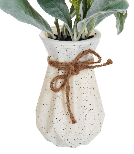 Műnövény PEPEROMIA ARGYREIA 30 cm Zöld
