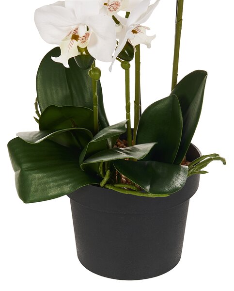 Műnövény ORCHID 65 cm Fehér