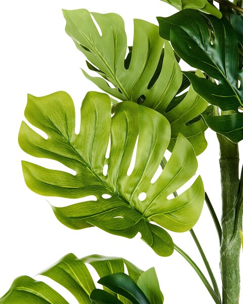 Műnövény MONSTERA PLANT 221 cm Zöld