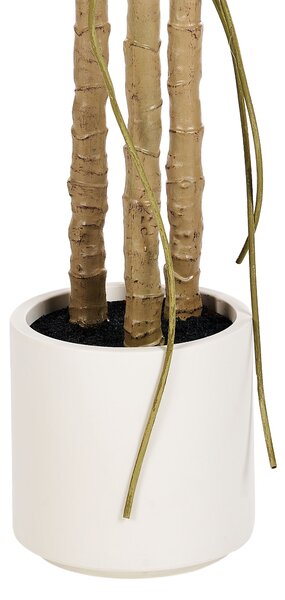 Műnövény MONSTERA PLANT 221 cm Zöld