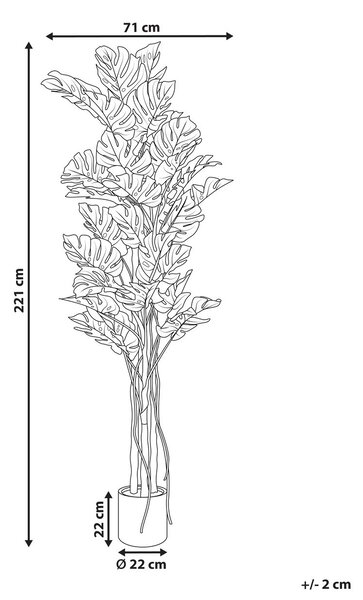 Műnövény MONSTERA PLANT 221 cm Zöld