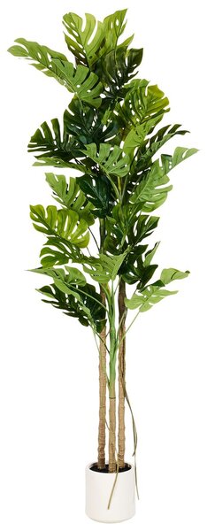 Műnövény MONSTERA PLANT 221 cm Zöld