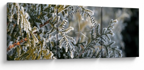 Kép - Ág részlet (órával) (90x30 cm)