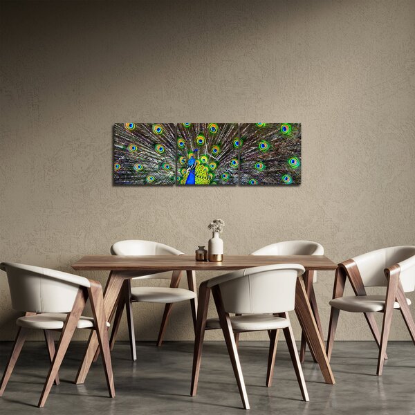 Kép - Páva (órával) (90x30 cm)