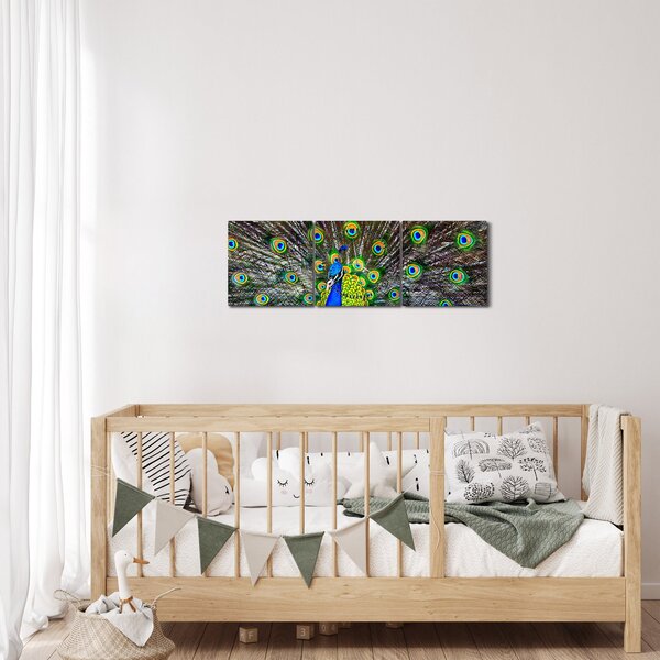 Kép - Páva (órával) (90x30 cm)