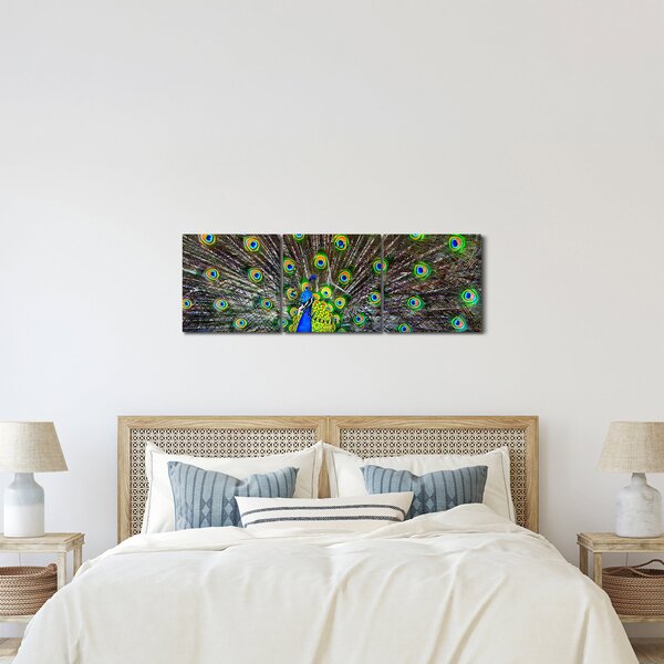 Kép - Páva (órával) (90x30 cm)