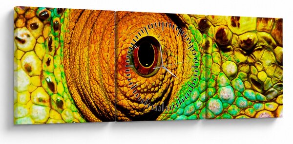 Kép - Kaméleon (órával) (90x30 cm)