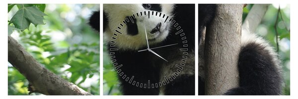 Kép - Panda a fán (órával) (90x30 cm)