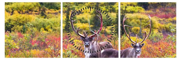 Kép - Caribou, Alaszka (órával) (90x30 cm)