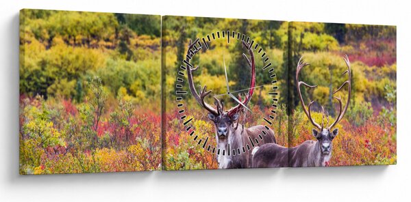 Kép - Caribou, Alaszka (órával) (90x30 cm)