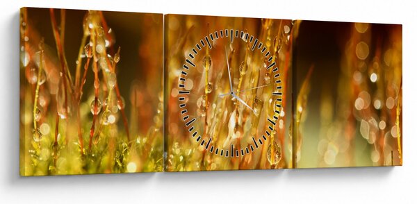 Kép - Harmat részlete (órával) (90x30 cm)