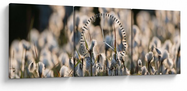 Kép - Keskenylevelű gyapjúsás (órával) (90x30 cm)