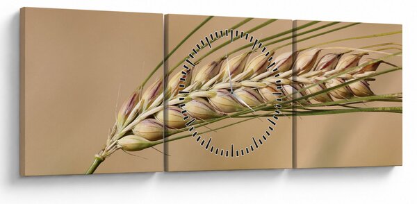 Kép - Búza (órával) (90x30 cm)