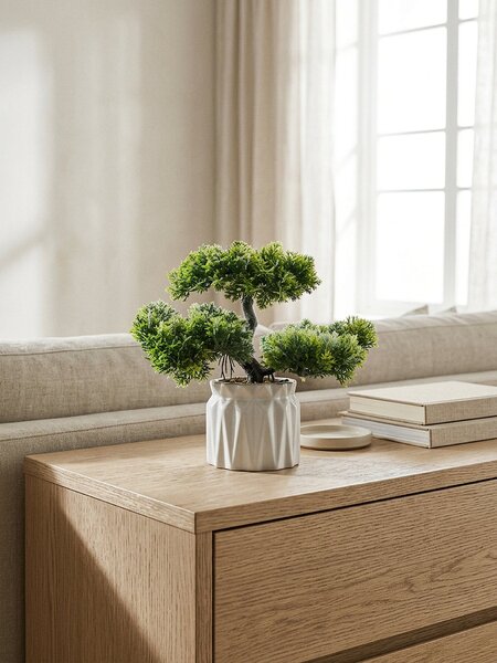 Sinsay - Dísznövény cserépben – bonsai fa - zöld