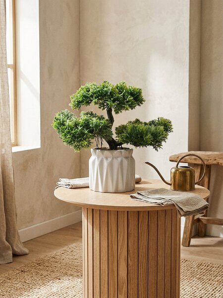 Sinsay - Dísznövény cserépben – bonsai fa - zöld