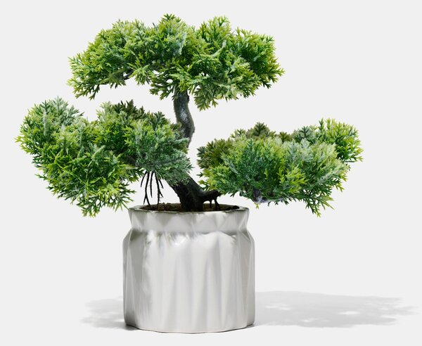 Sinsay - Dísznövény cserépben – bonsai fa - zöld