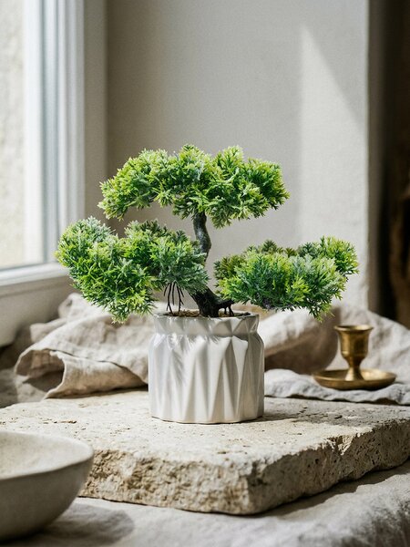 Sinsay - Dísznövény cserépben – bonsai fa - zöld