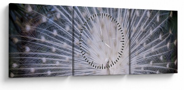 Kép - Fehér páva (órával) (90x30 cm)