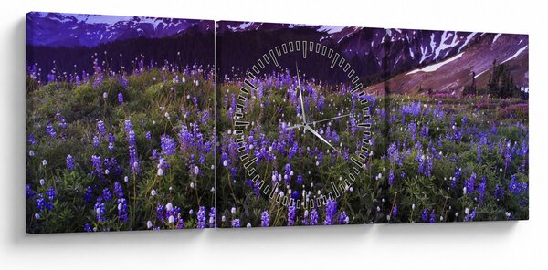 Kép - Vulkán és a virágok (órával) (90x30 cm)