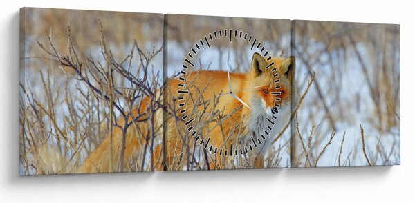 Kép - Róka (órával) (90x30 cm)