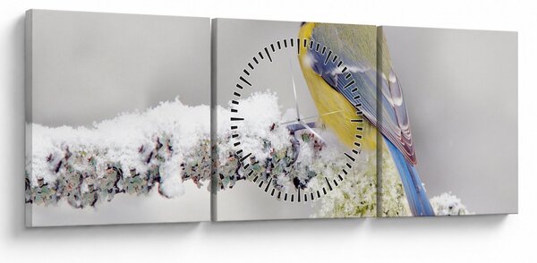 Kép - Cinege (órával) (90x30 cm)