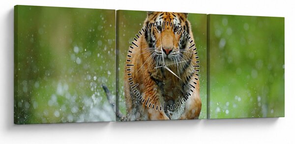 Kép - Futó tigris (órával) (90x30 cm)