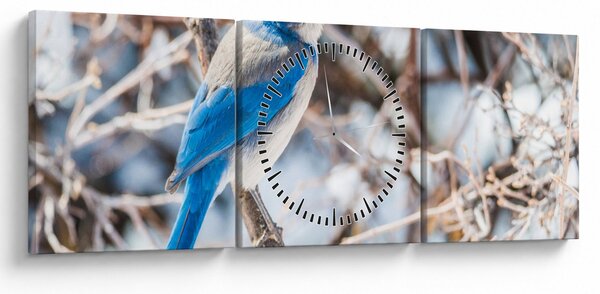 Kép - Téli madár (órával) (90x30 cm)