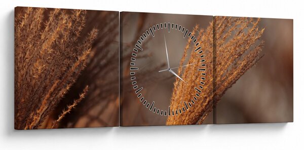Kép - Cortaderia (órával) (90x30 cm)