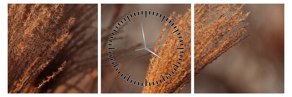 Kép - Cortaderia (órával) (90x30 cm)