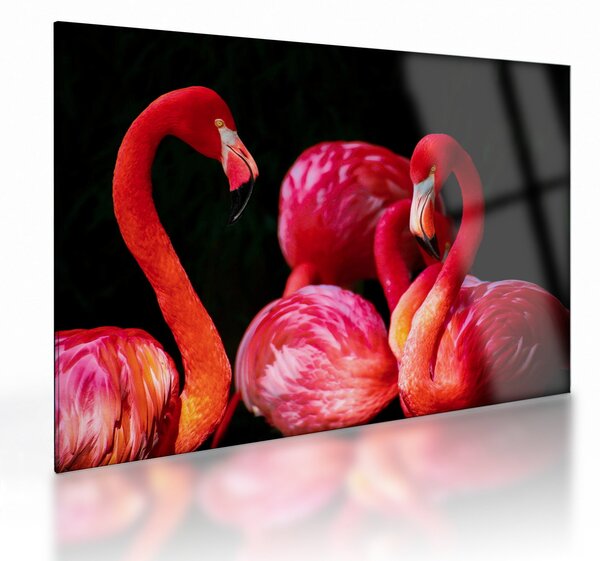 Vörös flamingók képe (üvegen) (70x50 cm)