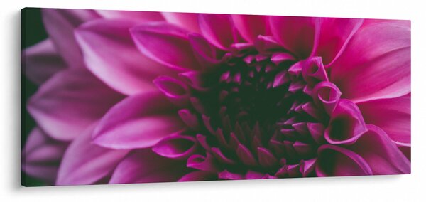 Rózsaszín virág képe (120x50 cm)