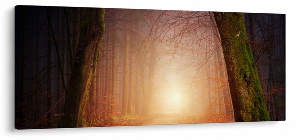 Őszi erdő képe a ködben (120x50 cm)