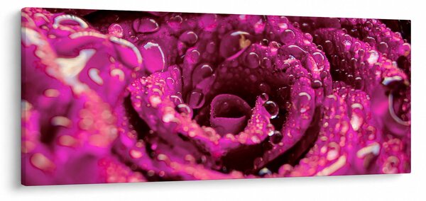 Rózsaszín rózsa virágzata képe (120x50 cm)