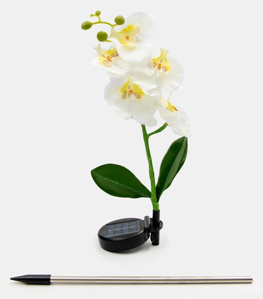 Sinsay - Napelemes kerti lámpa virág formában - fehér