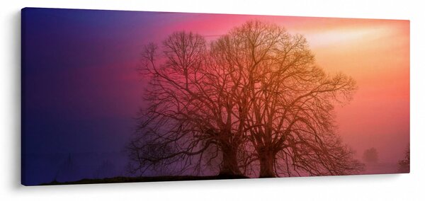 Fák a ködben (120x50 cm)