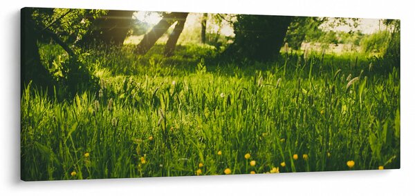 Tájkép - rét (120x50 cm)