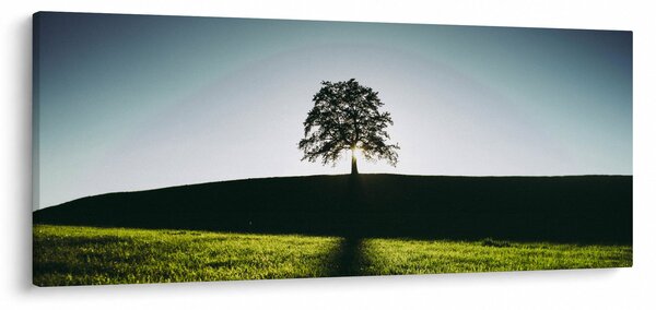 Természet kép - fa (120x50 cm)