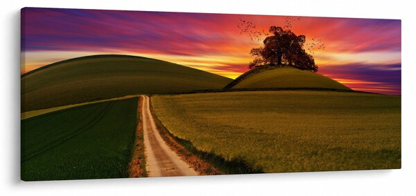 Mezei naplemente képe (120x50 cm)