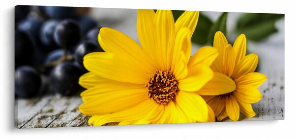 Sárga virágok képe (120x50 cm)
