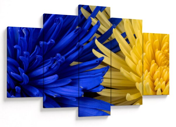 Kép - virág részlet (150x105 cm)