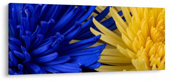 Kép - virág részlet (120x50 cm)