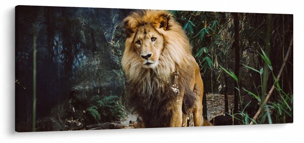 Oroszlán a vadonban (120x50 cm)