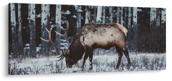 Kép - szarvas télen (120x50 cm)