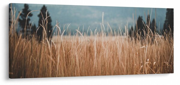 Kép - réti növényzet részlete (120x50 cm)