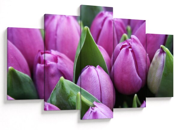 Kép - tulipánok (150x105 cm)