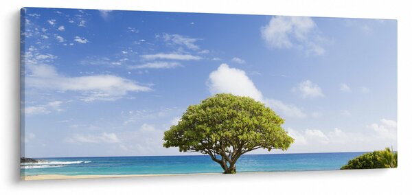 Fa a tengerparton (120x50 cm)