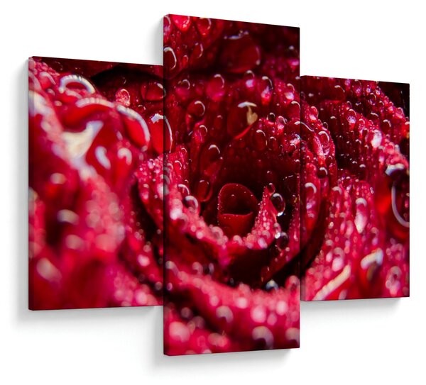 Vörös rózsa virágzata képe (90x60 cm)